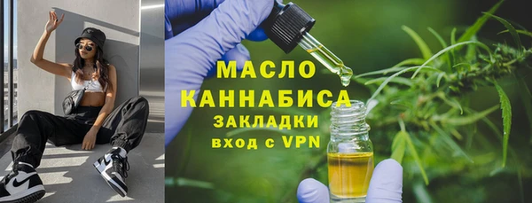 молекула духа Елабуга