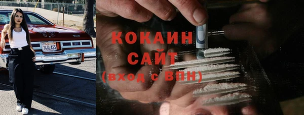 МДПВ Ельня