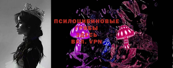 молекула духа Елабуга