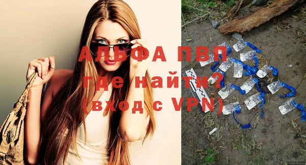 молекула духа Елабуга