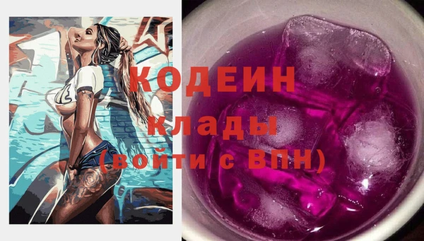 МДПВ Ельня