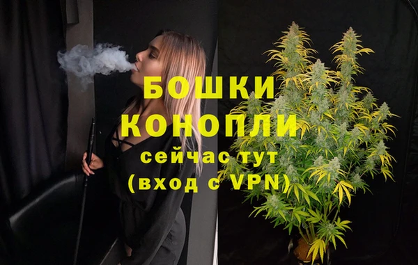 молекула духа Елабуга