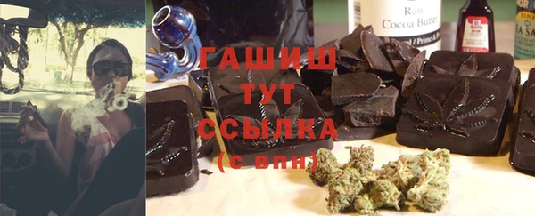 МДПВ Ельня