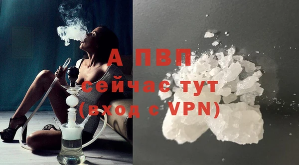 молекула духа Елабуга