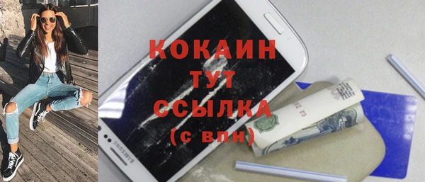 МДПВ Ельня