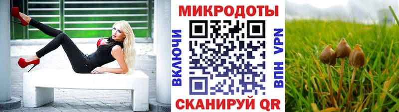 Галлюциногенные грибы Cubensis Исилькуль