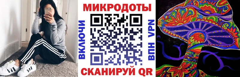 Купить где Исилькуль Галлюциногенные грибы Psilocybine cubensis
